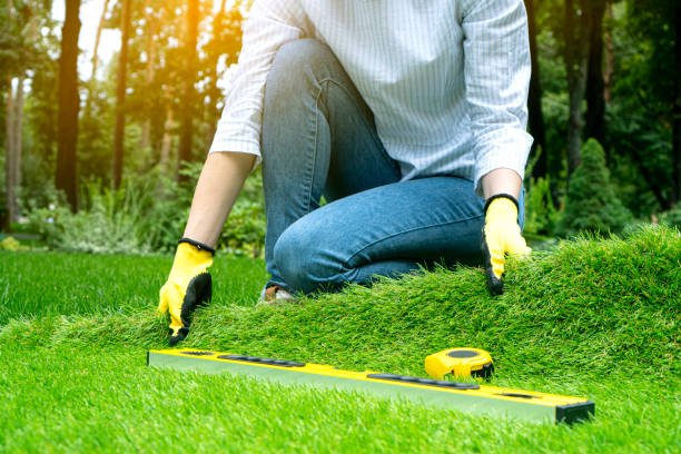 The Evergreen Touch: Excellence in Artificial Lawn Installation