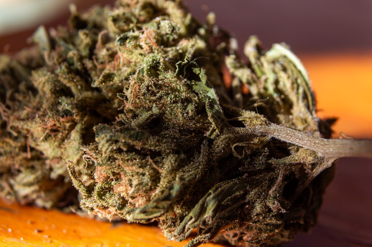 Explore the best thca flower 2026 with Expert Recommendations